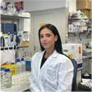 Doctora en Ciencias de la Salud con capacidad para enseñar a todos los niveles, desde ESO a bachillerato.