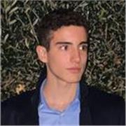 Studente di ingegneria propone lezioni e ripetizioni di matematica, chimica e materie umanistiche per medie e superiori