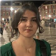 Englischunterricht mit akademischem Hintergrund – für Studierende, Berufstätige und Fortgeschrittene