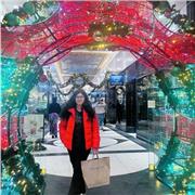 Economics lessons for all school and university students