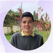 Soy profesor particular con experiencia en apoyo escolar