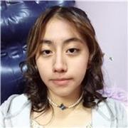 Maestro de contabilidad para universidad