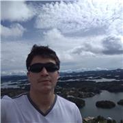 Programación, Ingeniería de software, desarrollo de software