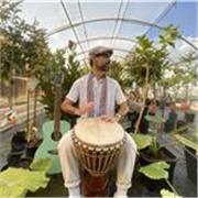 Clases de Percusión y Guitarra para todos los niveles – Aprende música de forma práctica y divertida