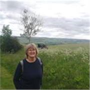 Experienced A Level Maths tutor