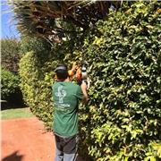 Soy alguien con ganas de enseñar mis conocimiento sobre jardinería y todo lo que está conlleva y a dar clase a gente que le intere