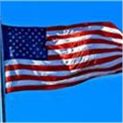 Buscas un Profesor de Ingles porque no entiendes las clases en tu colegio?