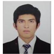 Profesor de matematicas y ciencias de la tierra- Geologia