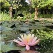 Cours de soutien scolaire en anglais - tout niveaux