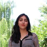 Profesor de matemáticas distintos niveles (básica, media, universitario)