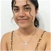 Online English lessons to GCSE and A level students