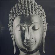 Clases de yoga relajante maestro recocido en la materia librate del extres y ansiedad.liberate de tus miedos se un espiritu libre