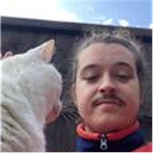 user photo