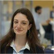 Insegnante di Inglese con laurea americana offre lezioni a studenti del liceo, universitari e adulti