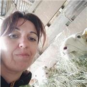 Passionnée d'enseignement. Expérience de professeure des écoles. Expérience d'enseignante dans le 2nd degré ( de la 4 ème au bac pro). Expérience avec enfants atteints de  DYS