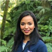 Nachhilfelehrer für Mathematik und Englisch für Kinder aller Altersgruppen