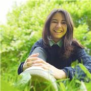 jetzt Bulgarisch online/vor Ort mit Native lernen