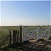 Aprendé Crochet desde tu casa¿Siempre quisiste aprender a tejer pero no sabés por dónde empezar? ¿O tenés un proyecto trabado que