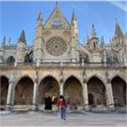 Ingeniera ambiental, con conocimientos en diferentes áreas de conocimiento. Paciente y atenta, tengo experiencia en tutorías 