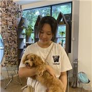 I give engaging and interactive lessons tailored to the student's area of improvement