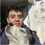 Estudiante de medicina, tutorias de secundaria, preparatoria