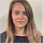 I am an experienced native English tutor