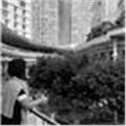 Clases en Línea de Español, Ciencias Sociales, Ciencias Políticas, Perspectiva de Género, Historia