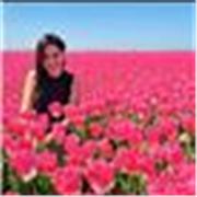 Hola soy licenciada en administración de empresas doy clases de Castellano y arte