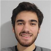 Professeur particulier, donne des séances de soutien scolaire en distanciel en Histoire pour collegiens et lycéens