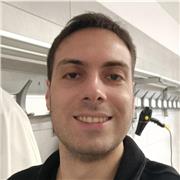 Insegnante di grammatica spagnola