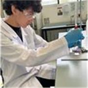 Profesor de Física, Química, Matemáticas y Lenguaje, con experiencia previa en escuela secundaria y como particular