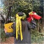 offro un percorso completo per imparare a disegnare