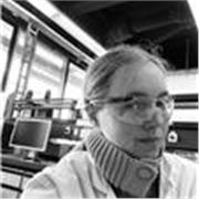 Lehrer/ Privatlehrer für Deutsch als Fremdsprache. Ich bin Doktorrandin in der Organischen Chemie an der Uni Köln