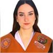 Clases particulares de apoyo de bachillerato y secundaria: matemáticas y física