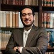 Profesor de Derecho y abogado litigante