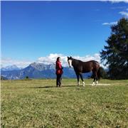 Insegnante d'inglese per ripetizioni. 4 anni di esperienza in Irlanda e 1 anno a Londra