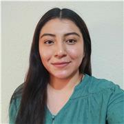 Maestro de apoyo escolar en materías como física nivel secundaria, preparatoria y universitario básico