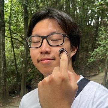 Qin