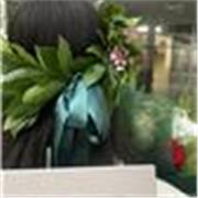 Lezioni di fisica per ragazzi delle superiori