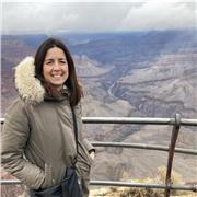 Laureata in Economia e Commercio offre lezioni di matematica per studenti di scuola elementare e medie