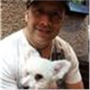 Profesores de box particulares