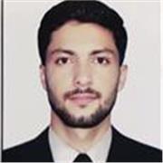 Online Political Science lessons, tailored for diverse learners