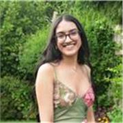 English tutor, achieved A* in A-Level, grade 9 in GCSE, open to provide lessons to GCSE and A-Level students