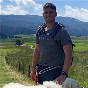 Laureando in business and management (curriculum in inglese) Offre ripetizioni di inglese e Economia