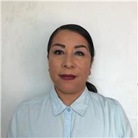 Maestra de Informática - Victoria (Tamaulipas)- Docente/Profesor para dar clases particulares