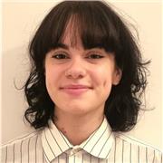 Cours d'anglais de soutien scolaire et aide aux devoirs pour un niveau de collège et/ou lycée