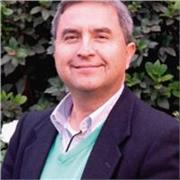 Apoyo On Line en Elaboración de Tesis para pregrado, postgrado, magíster y doctorado acompañándote de forma personalizada