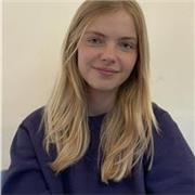 A level covering edexcel and GCSE maths tutor