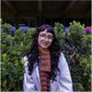 Clases particulares, presenciales o virtuales de Historia