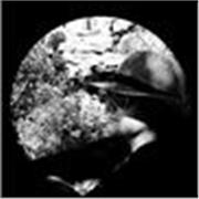 Confiance, sérénité et réussite : un accompagnement sur mesure 